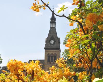Old Main clock tower with flowers