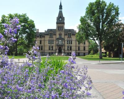 Old Main with purple flowers