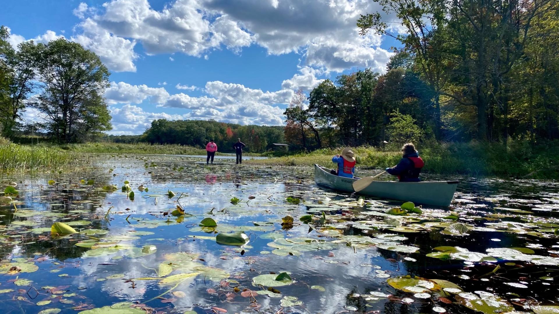 Canoes heading ashore at the Teacher Field School