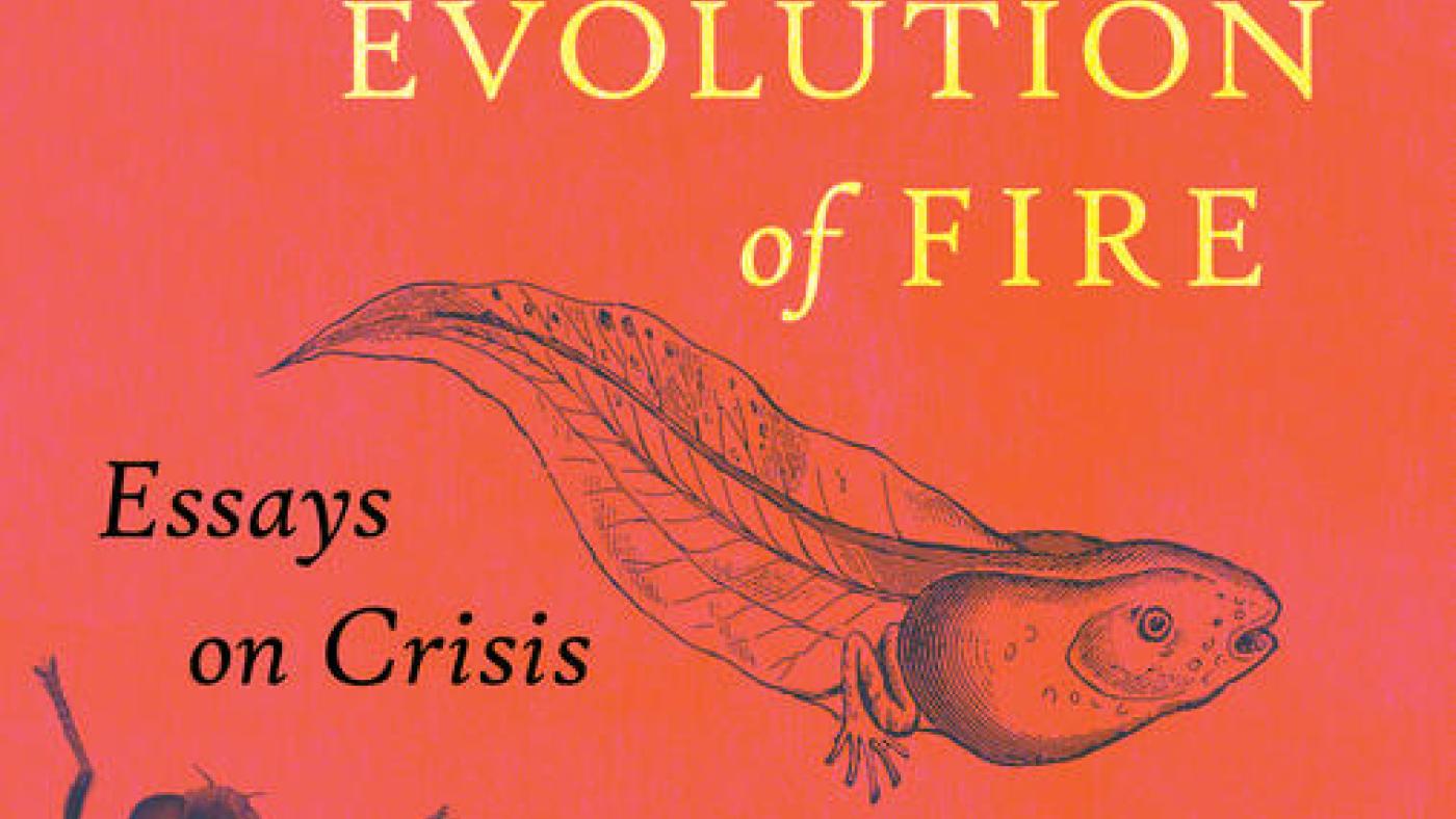 Book evolution of fire