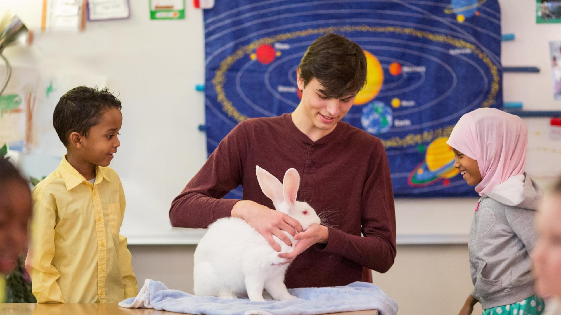 Hamline student teacher