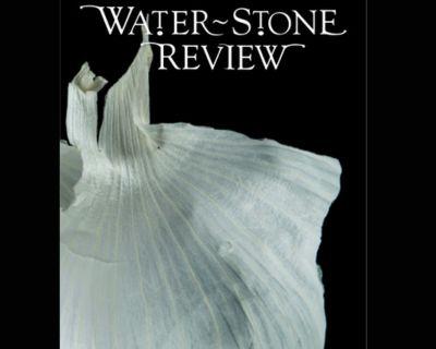 Water Stone review