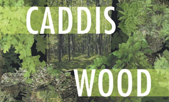In Caddis Wood, by Mary Rockcastle