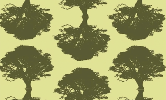 Limber, by MFA faculty Angela Pelster-Weibe